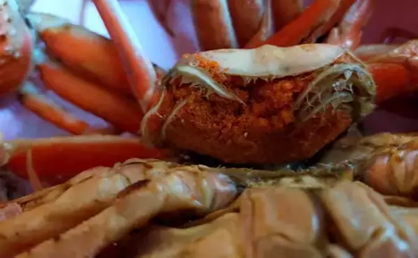 「プロが教える「旬魚」の目利き：メスのズワイガニの選び方　内子狙い撃ち」の画像