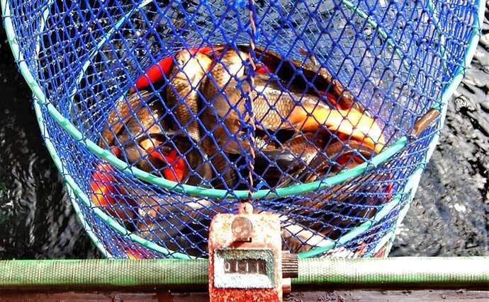 「室内淡水つり堀」1日の流れと注意点を解説　全天候型＆濃い魚影が特徴