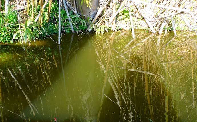 河川の小物釣りデビュー 時の注意点7選 安 近 短でボウズも低確率 22年1月2日 エキサイトニュース 2 4