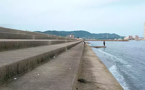 「カマス狙いの陸っぱりライトゲームで23cm頭に7尾【大阪・深日漁港】」の画像