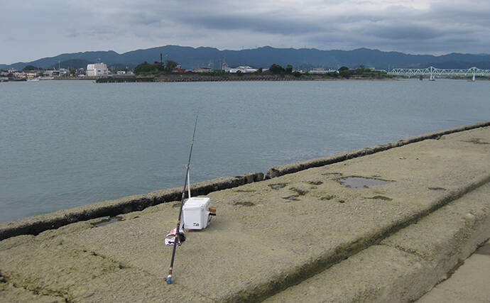 投げキス釣りで本命良型13匹　真夏の晴天続きは河口が狙い目【和歌山】