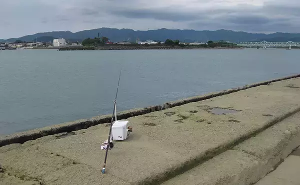 「投げキス釣りで本命良型13匹　真夏の晴天続きは河口が狙い目【和歌山】」の画像