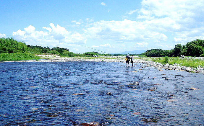 超浅場アユ友釣りで小型主体も入れ掛かり堪能　94尾【滋賀・安曇川】