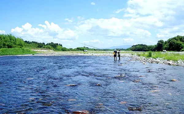 「超浅場アユ友釣りで小型主体も入れ掛かり堪能　94尾【滋賀・安曇川】」の画像