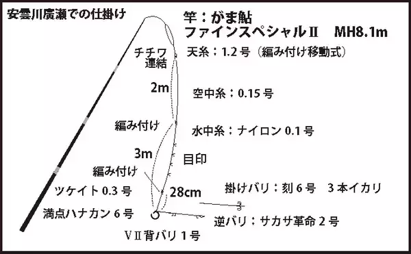 「超浅場アユ友釣りで小型主体も入れ掛かり堪能　94尾【滋賀・安曇川】」の画像