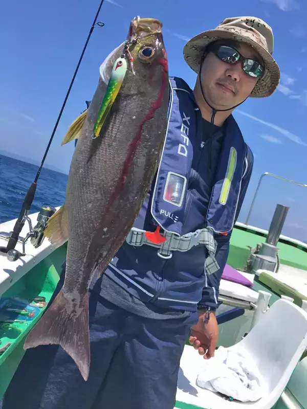 「SLJで50cmイサキ　大型オオモンハタも【大分県・ブルーホーク】」の画像