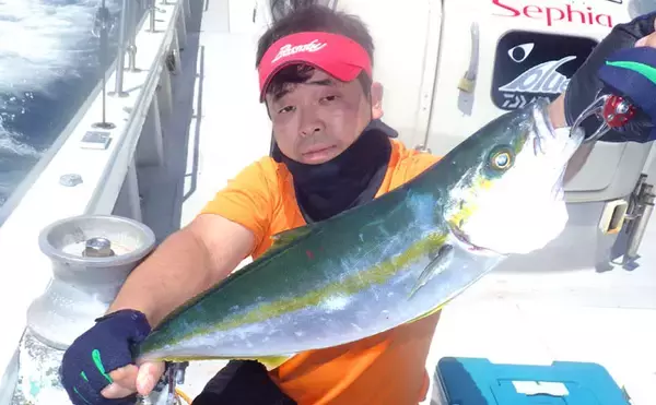 「浅場のSLJで50㎝級ヒラマサ7ヒット4キャッチ【福井・ブルーズ】」の画像