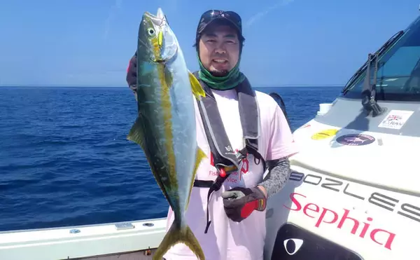 「浅場のSLJで50㎝級ヒラマサ7ヒット4キャッチ【福井・ブルーズ】」の画像