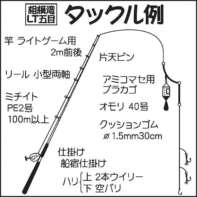 晴山由梨が相模湾lt五目で入れ食い ワカシにサバにイサキ ちがさき丸 19年8月31日 エキサイトニュース