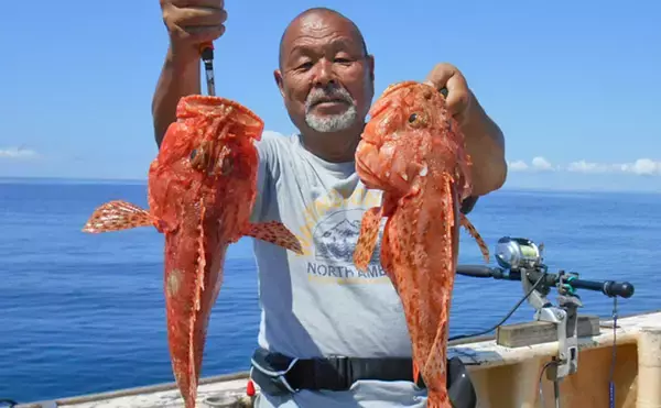 高級根魚狙いの中深場釣りで良型オニカサゴ【千葉県・第2二三丸】