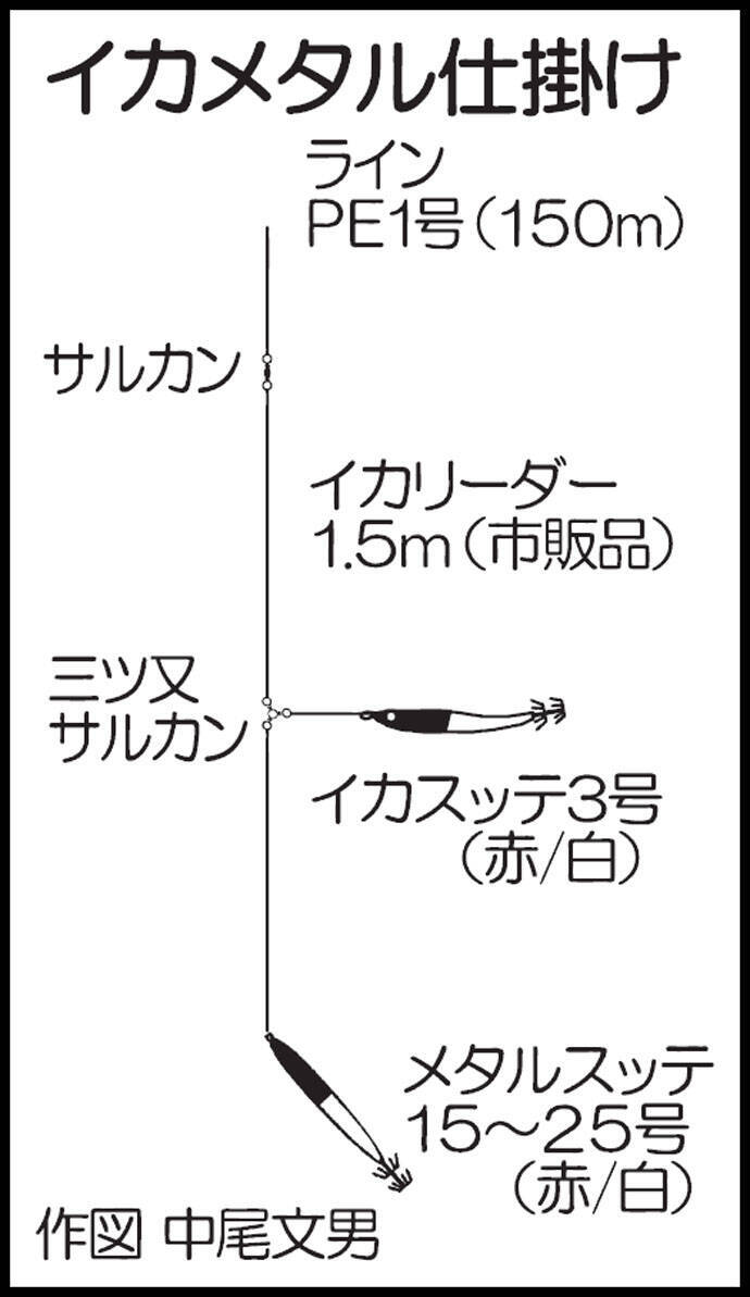 イカメタルでアカイカ好乗り フグに苦戦もトップ本命100尾 鹿児島 19年8月28日 エキサイトニュース