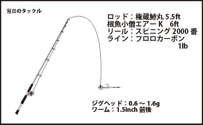 陸っぱり 豆アジング レポート 溜まり場見つけて連発 兵庫 明石 19年9月10日 エキサイトニュース