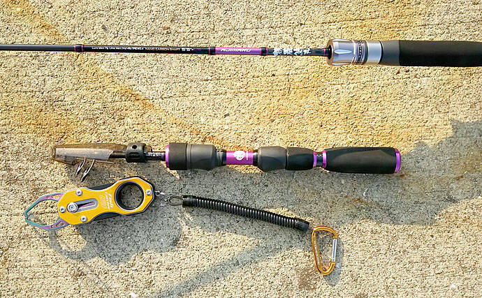 陸っぱり『豆アジング』レポート　溜まり場見つけて連発【兵庫・明石】