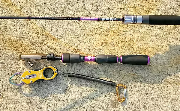 「陸っぱり『豆アジング』レポート　溜まり場見つけて連発【兵庫・明石】」の画像