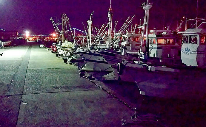 陸っぱり『豆アジング』レポート　溜まり場見つけて連発【兵庫・明石】