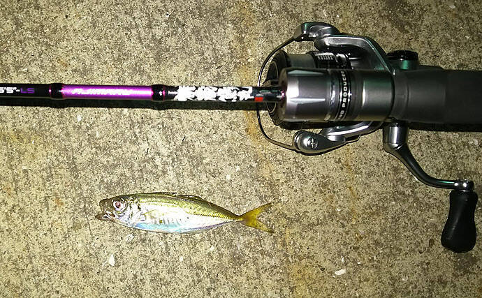 陸っぱり『豆アジング』レポート　溜まり場見つけて連発【兵庫・明石】