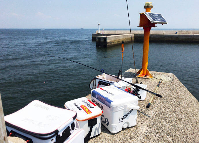 真夏の波止フカセ釣りでクロダイと真剣勝負　42cm手中！【愛知県】