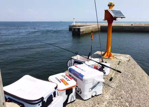 「真夏の波止フカセ釣りでクロダイと真剣勝負　42cm手中！【愛知県】」の画像