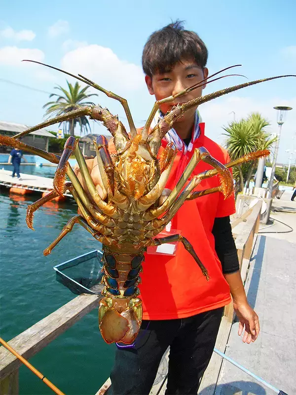 「『九十九里海釣りセンター』を取材レポート　マダイ釣りすぎ注意！」の画像