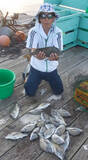 「【三重県】イカダ＆カセ釣果速報　60cmクロダイに五目釣りも好調！」の画像5