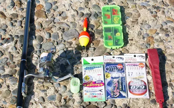 【九州エリア2019】子供にも簡単サビキ釣りキホン　連掛けを楽しもう