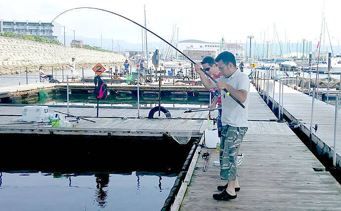 シーバスタックルで海上釣堀に挑戦も専用竿に完敗 海釣ぽ と田尻 19年9月17日 エキサイトニュース