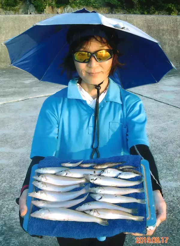 「遠投不要の1色半でシロギス連発　21cm頭に13尾【千葉・鴨川港】」の画像