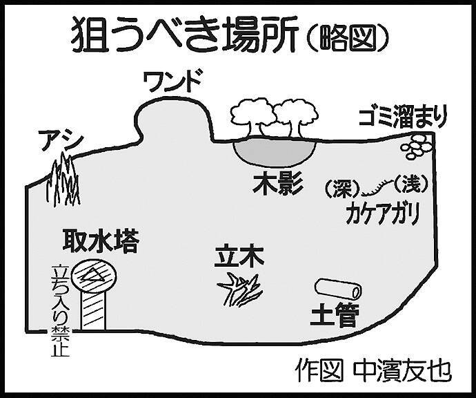 丸山ダムのバスフィッシングで40cm ストレートワームで攻略 山口 19年9月16日 エキサイトニュース