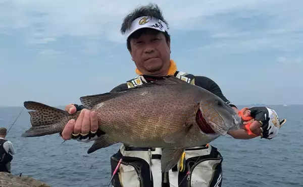 「晩夏の磯フカセでイサギが1投1匹　後半はグレの姿も【和歌山・大引】」の画像
