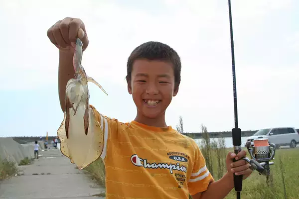 「エギング初心者に秋アオリイカを簡単に釣らせるマル秘テクニック公開」の画像