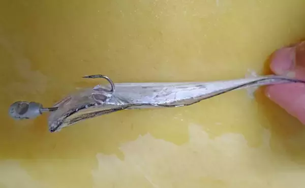 「ジグヘッド」✕「タチウオ尻尾」＝『共食いメソッド』　徹底解説！