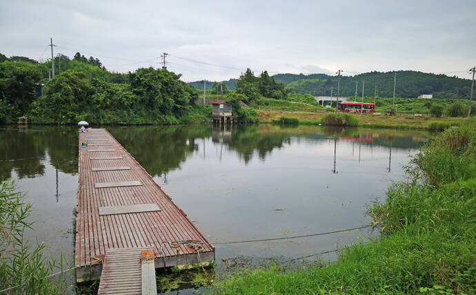 野釣りでヘラブナ狙い 価値ある尺モノを手中に 宮城県 こぶ沼 19年9月16日 エキサイトニュース