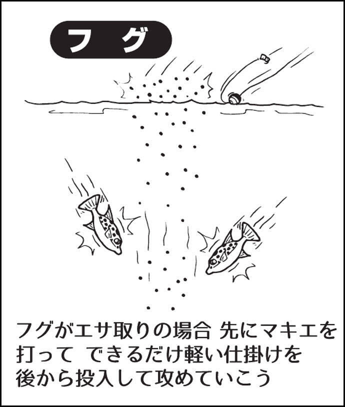 クロダイ狙い秋の波止フカセ釣り徹底解説 エサ取り別に攻略法を公開 19年9月22日 エキサイトニュース