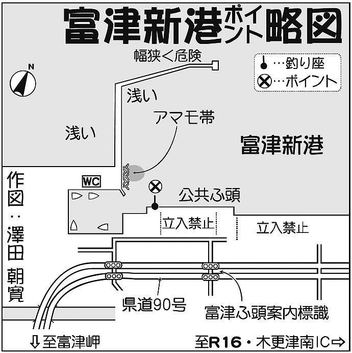 堤防サビキ釣りで本命アジ100尾超え 車横付けでラクラク 千葉県 19年9月19日 エキサイトニュース