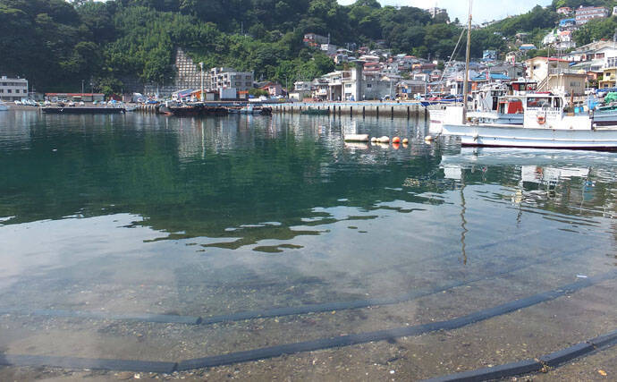 メッキゲームで18㎝本命　狙いはスロープ周辺シャローエリア【真鶴港】