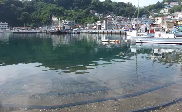 「メッキゲームで18㎝本命　狙いはスロープ周辺シャローエリア【真鶴港】」の画像