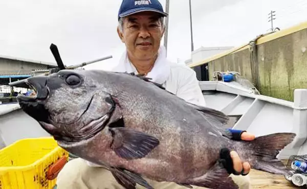 「【愛知県】船釣り釣果速報　63㎝頭にイシダイ19尾！マダイにサワラも」の画像
