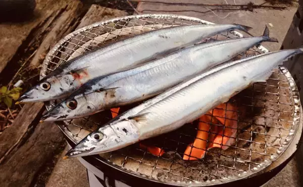 「【東日本編】9月に旬を迎える美味しい海の幸5選　関東は黄金サバ！」の画像