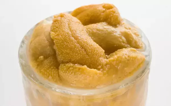 「【東日本編】9月に旬を迎える美味しい海の幸5選　関東は黄金サバ！」の画像