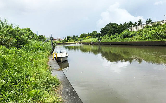 都市河川でシーバスゲーム サヨリ釣りを満喫 千葉県 村田川 19年9月22日 エキサイトニュース