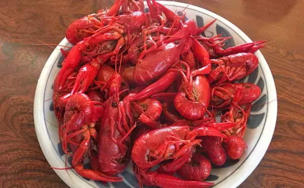 「ユーは何しに日本へ？：アメリカザリガニ編　元々はウシガエルのエサ？」の画像