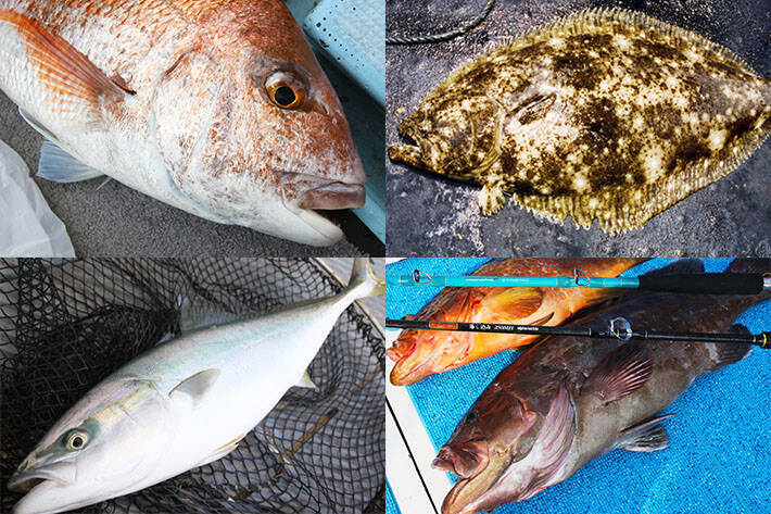 九州エリア19 秋の大型魚狙いに最適な4つの釣り方を解説 19年9月26日 エキサイトニュース