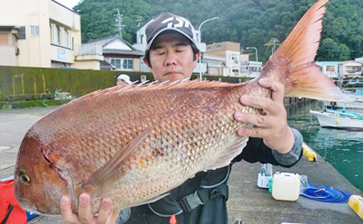 三重県 イカダ カセ釣果速報 80 マダイにクロダイ アオリイカも 19年9月25日 エキサイトニュース