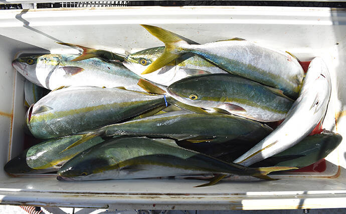 通称『ジグの墓場』で痛快青物ジギング　ハマチが乱舞【兵庫・浜栄丸】