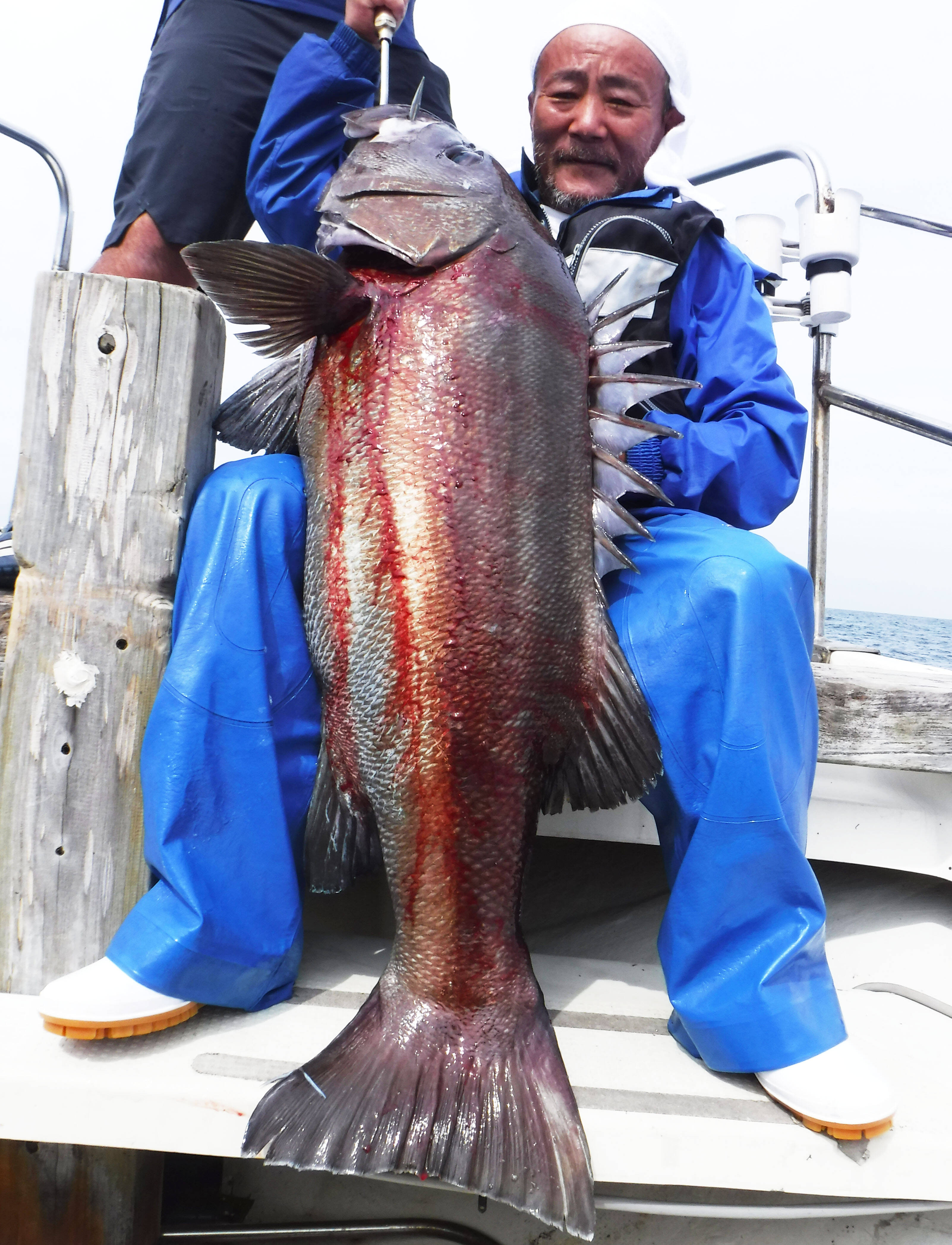 大分県 沖釣り釣果速報 指6本級ドラゴンタチウオに25kgイシナギ 19年9月26日 エキサイトニュース