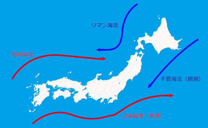 名前からして物悲しい『死滅回遊魚』を解説　映画で超有名なサカナも？