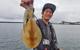 「アオリイカ新子狙いのエギングで500g頭に5尾【鹿児島県・枕崎港】」の画像1