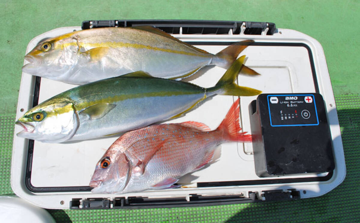 釣ったアジの泳がせ釣りでカンパチ ハタ ワラサ 千葉 庄幸丸 19年10月3日 エキサイトニュース