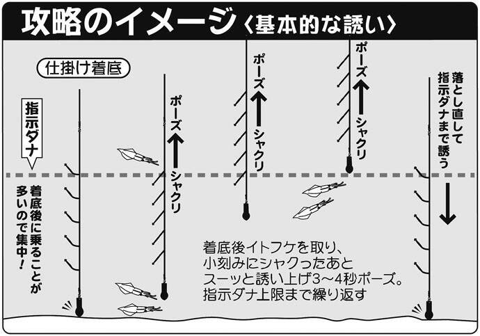 ツノ スッテ ヤリイカ釣り初心者入門 開幕直後の釣況も 東京湾 19年10月4日 エキサイトニュース