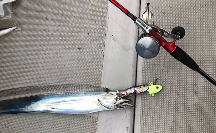 テンヤタチウオ＆ノマセ青物リレー船で型数共に満喫【淡路島・小溝丸】